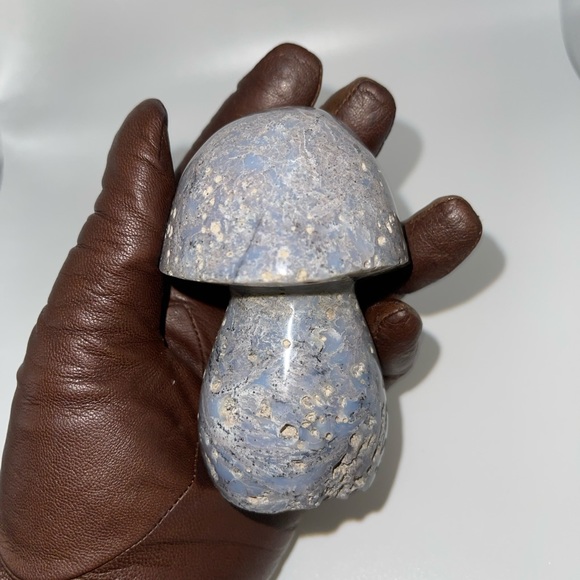 ❤️‍🔥HP❤️‍🔥 Ocean Jasper carved Mushroom B. - Picture 5 of 12